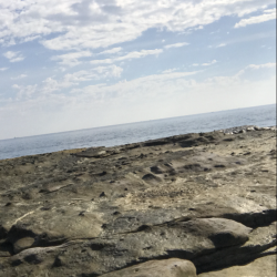 とことんエギングパラダイス