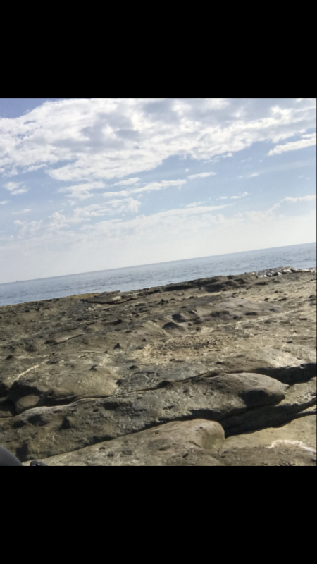 とことんエギングパラダイス