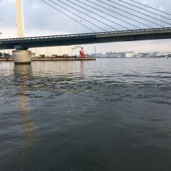 タッチー狙いが