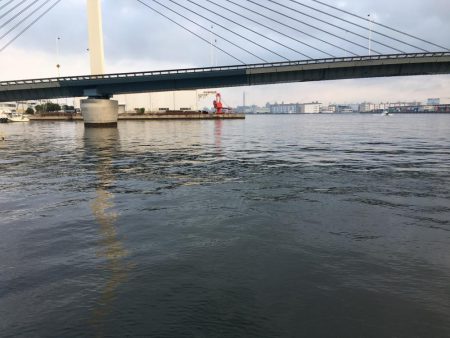 タッチー狙いが