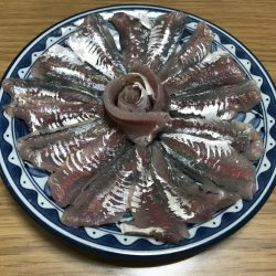 アジ大漁♪イカ、タチウオあたりなし(T-T)