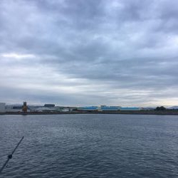 細太刀魚数多し