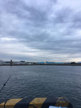 細太刀魚数多し