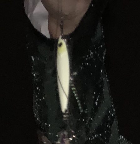 夢舞大橋 タチウオ