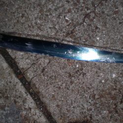 異常発生太刀魚？