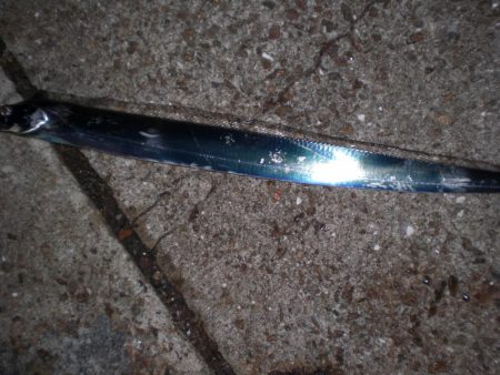 異常発生太刀魚？