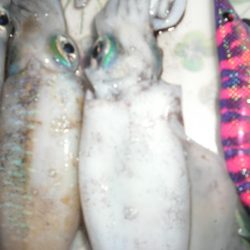 天気心配したけど、まあまあできた。