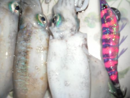 天気心配したけど、まあまあできた。