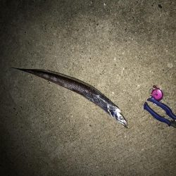 久しぶりの釣行