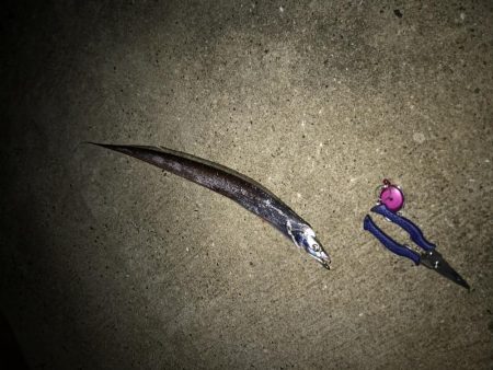 久しぶりの釣行