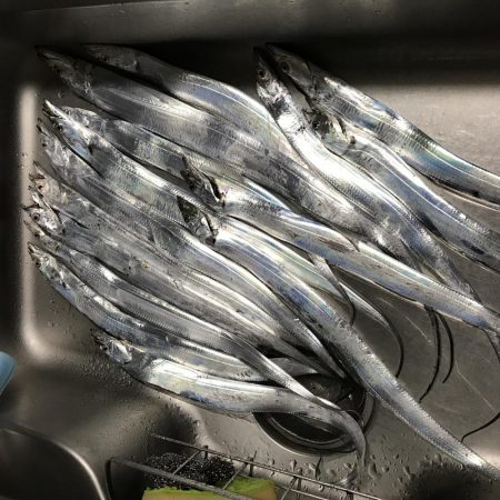 タチウオ ワインド