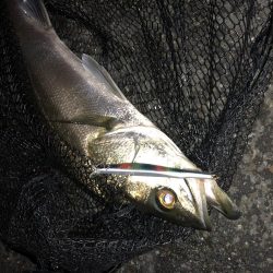 いざリベンジへ