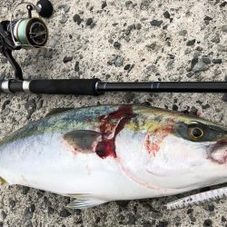 朝マズメのショアジギング