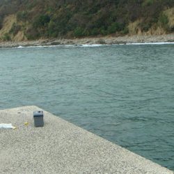 中紀初!!エビ撒き