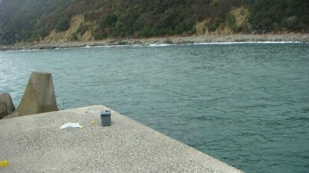 中紀初!!エビ撒き