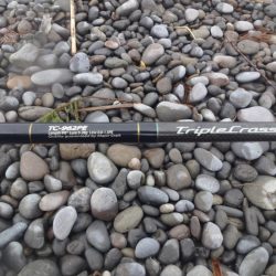 前回の当りを確認しに