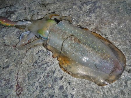 墨ぶっかけられ…