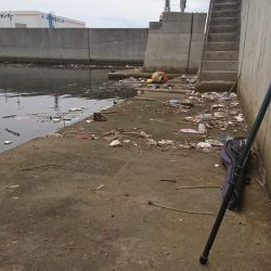 台風の影響でゴミだらけ❗