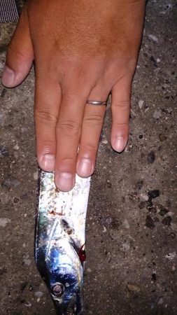 つ抜けしました！