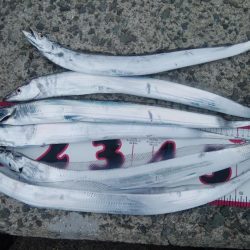 ショアジギング3