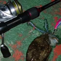 エギング&アジング