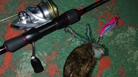 エギング&アジング