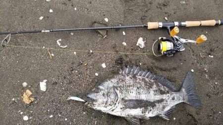 朝練ライトゲーム