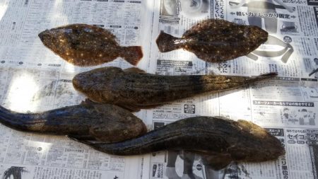 久しぶりのマゴチ釣行