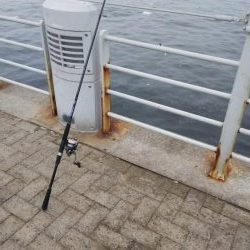 まだまだ小さい