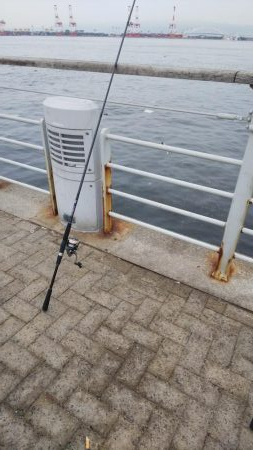 まだまだ小さい