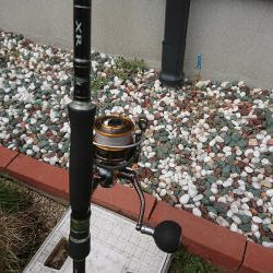 チニング&ロックフィッシュ