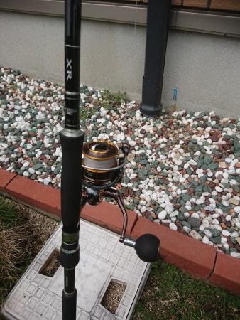 チニング&ロックフィッシュ