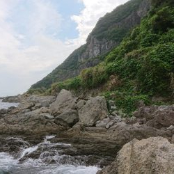 ロックフィッシュ