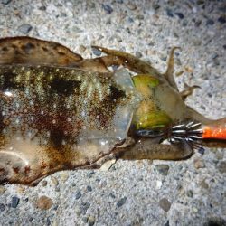 仕事終わり短時間