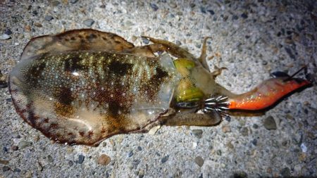 仕事終わり短時間