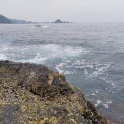 結構沸いてたのに…