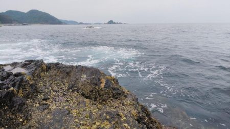 結構沸いてたのに…