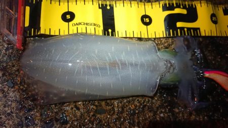 仕事終わりに出撃