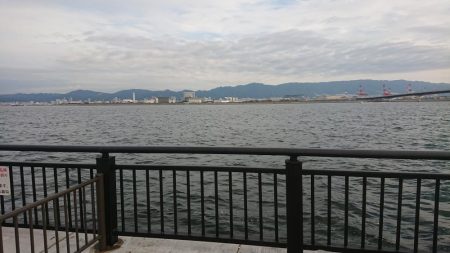 久々にキビナゴで太刀魚