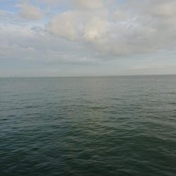 期待がどんどん膨らんできてます