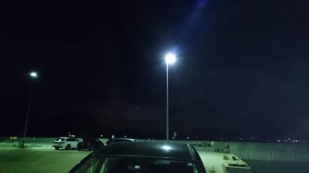 津田でサビキ釣り