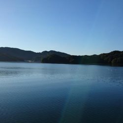 エバ(メッキ)ゲット！