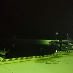 津田でタチウオ