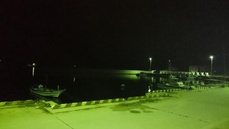 津田でタチウオ