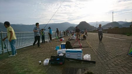 サゴシが釣れない