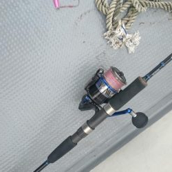 タチウオジギング