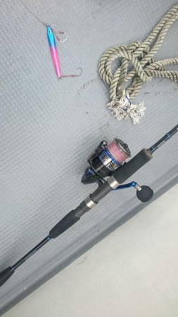 タチウオジギング