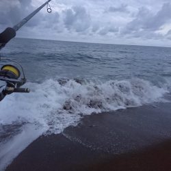 サーフでツバス