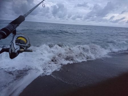 サーフでツバス