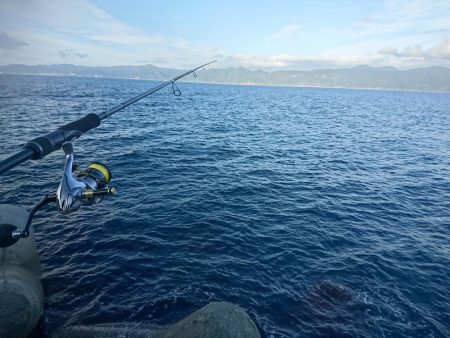 シーバスロッドで…